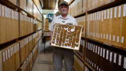 Steve Collins, coleccionista de mariposas de Nairobi, ha dedicado su vida a encontrar, preservar y estudiar especies de mariposas africanas, reuniendo lo que se considera la colección más grande del mundo. Ahora está buscando un nuevo hogar para la colección y alguien que continúe su trabajo.