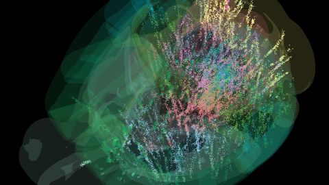 In the static images each dot is linearly scaled according to the raw average firing rate of that neuron up to a maximum size.