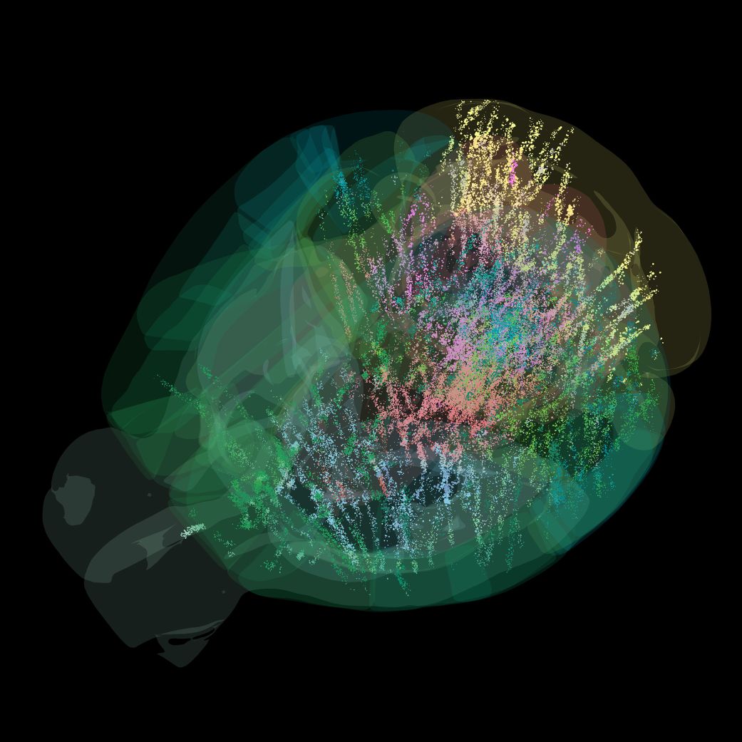 Each colored dot in this image represents a neuron that is firing during the decision-making process.