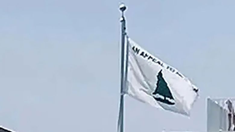 A photo obtained by The New York Times shows "An Appeal to Heaven" flag flying at US Supreme Court Justice Samuel Alito's home in Long Beach Island.