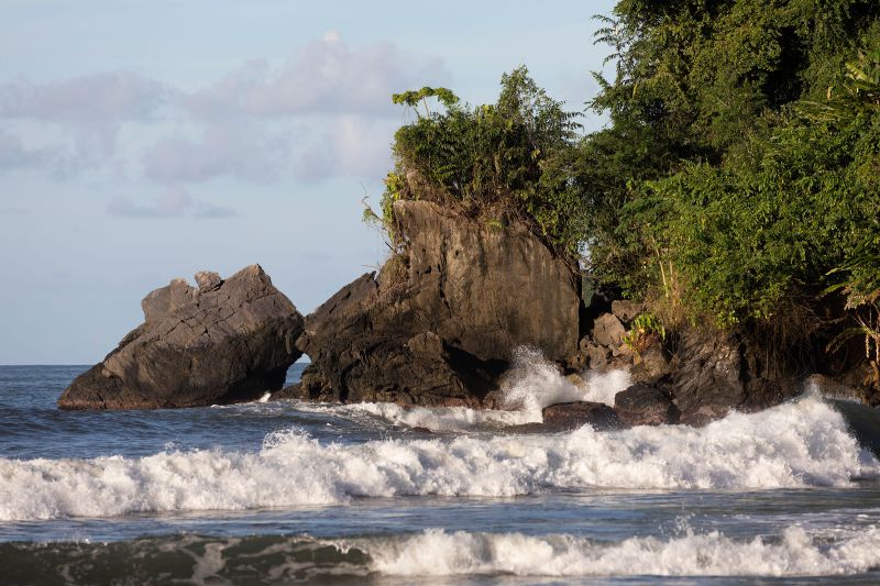 Grande Riviere is Trinidad’s prime sea turtle nesting beach.