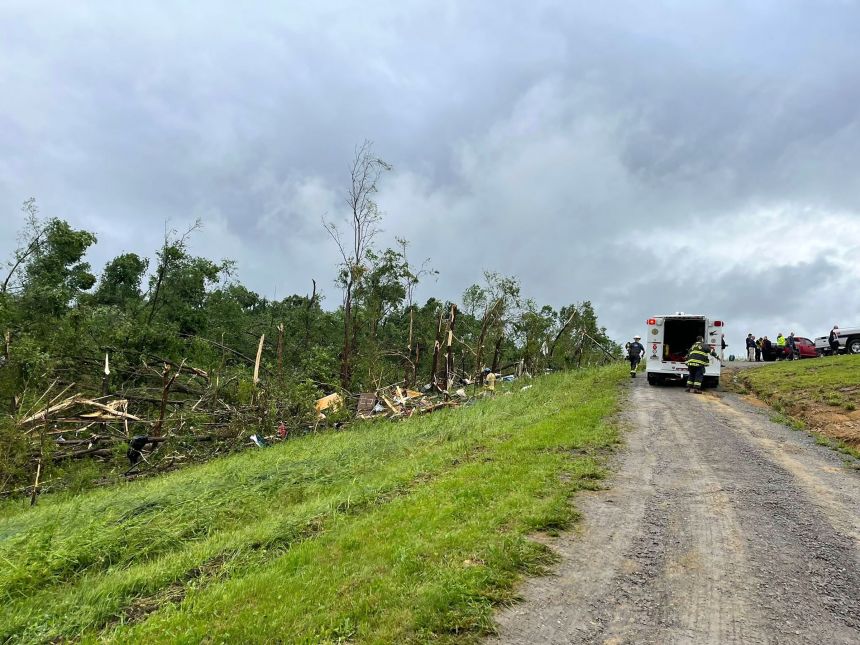 Trees were uprooted in Washington County after severe weather moved through the area.