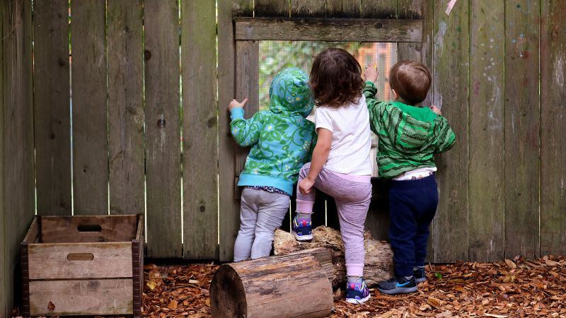 Вижте всички теми Връзка копирана Следвайте Докато помощниците на Белия