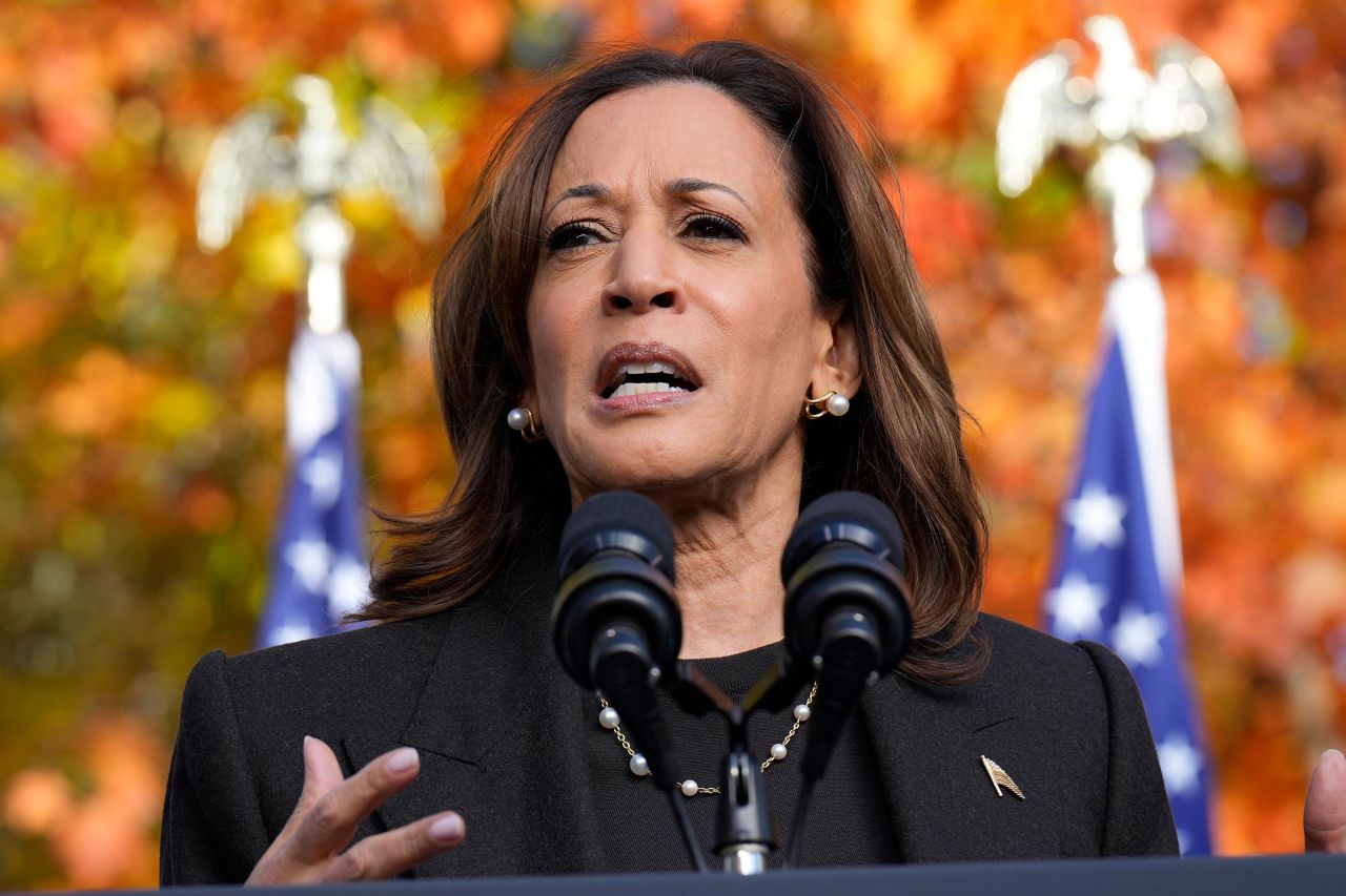 Democratic presidential nominee Vice President Kamala Harris speaks during a campaign event at Riverside Park in Grand Rapids, Michigan, on October 18.