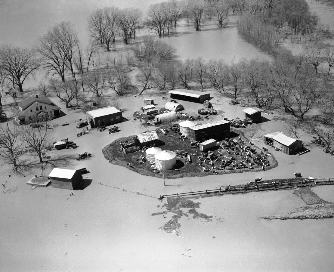 This April 1952 photo shows the devastation on a cattle farm near Sioux City, Nebraska, after the Missouri River basin flooded.