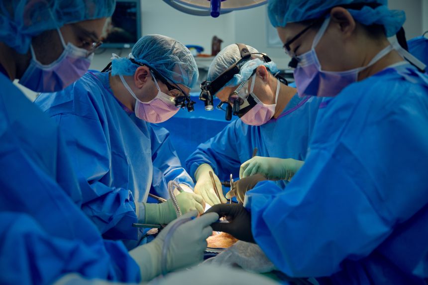 Transplant surgeons Dr. Jeffrey Stern and Dr. Adam Griesemer work to surgically remove the genetically engineered pig kidney on the final day of a 61-day xenotransplant study at NYU Langone Health.