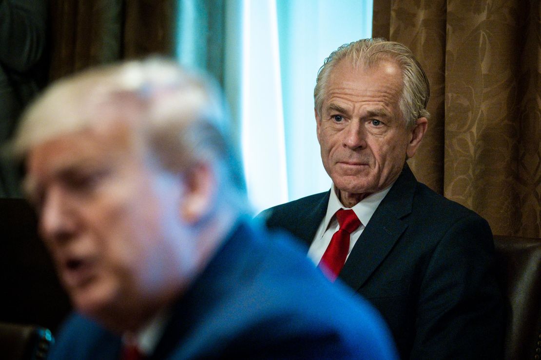 Peter Navarro looks on as President Donald Trump meets with supply chain distributors in reference to the COVID-19 coronavirus pandemic in the Cabinet Room in the West Wing at the White House in March 2020. 
