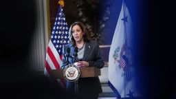 IN this February 2023 photo, Vice President Kamala Harris speaks on the root causes of migration from northern Central America in Washington, DC. 