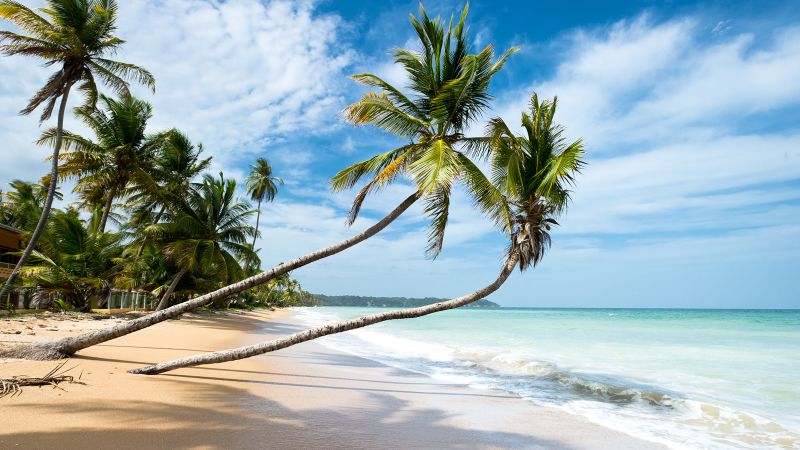 Когато мислите за Карибите, мислите за плажове. Но когато мислите
