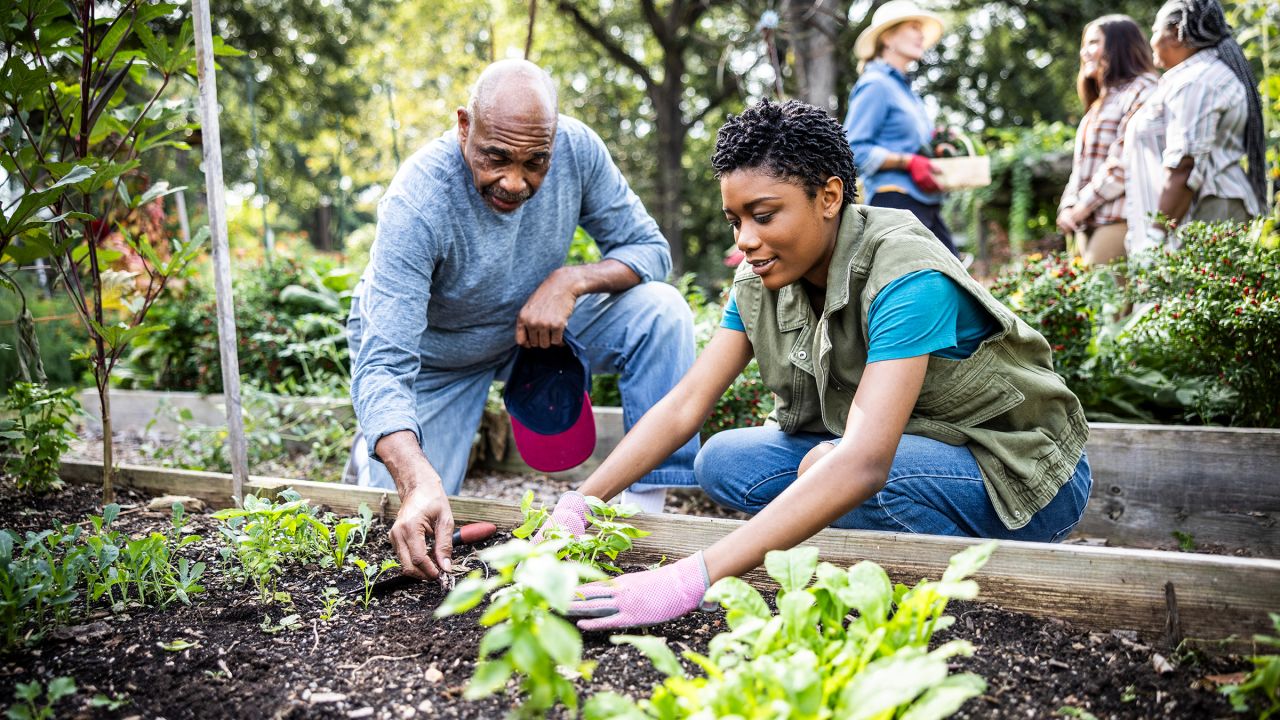 Volunteering and chatting with people in your community are easy ways to alleviate loneliness, experts said.