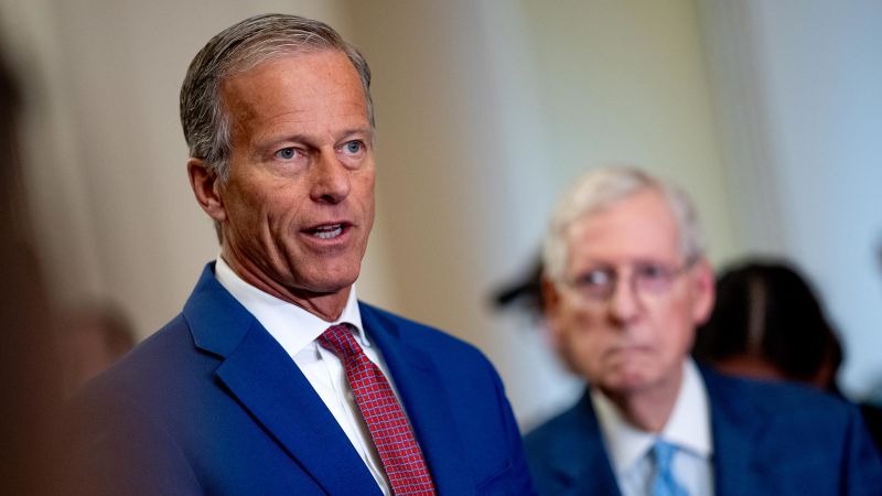 Who is John Thune, the next Senate majority leader?