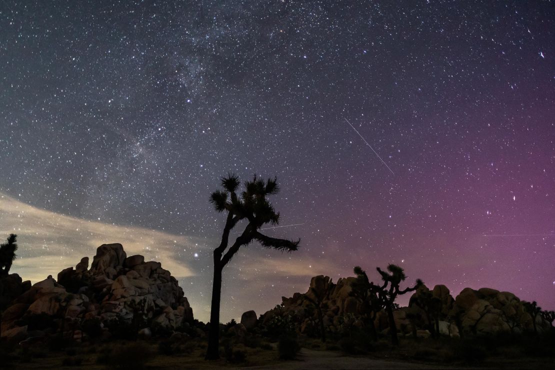 Northern Lights illuminate the sky above Joshua Tree National Park during the Perseids Meteor shower in Joshua Tree, California, early on August 12.