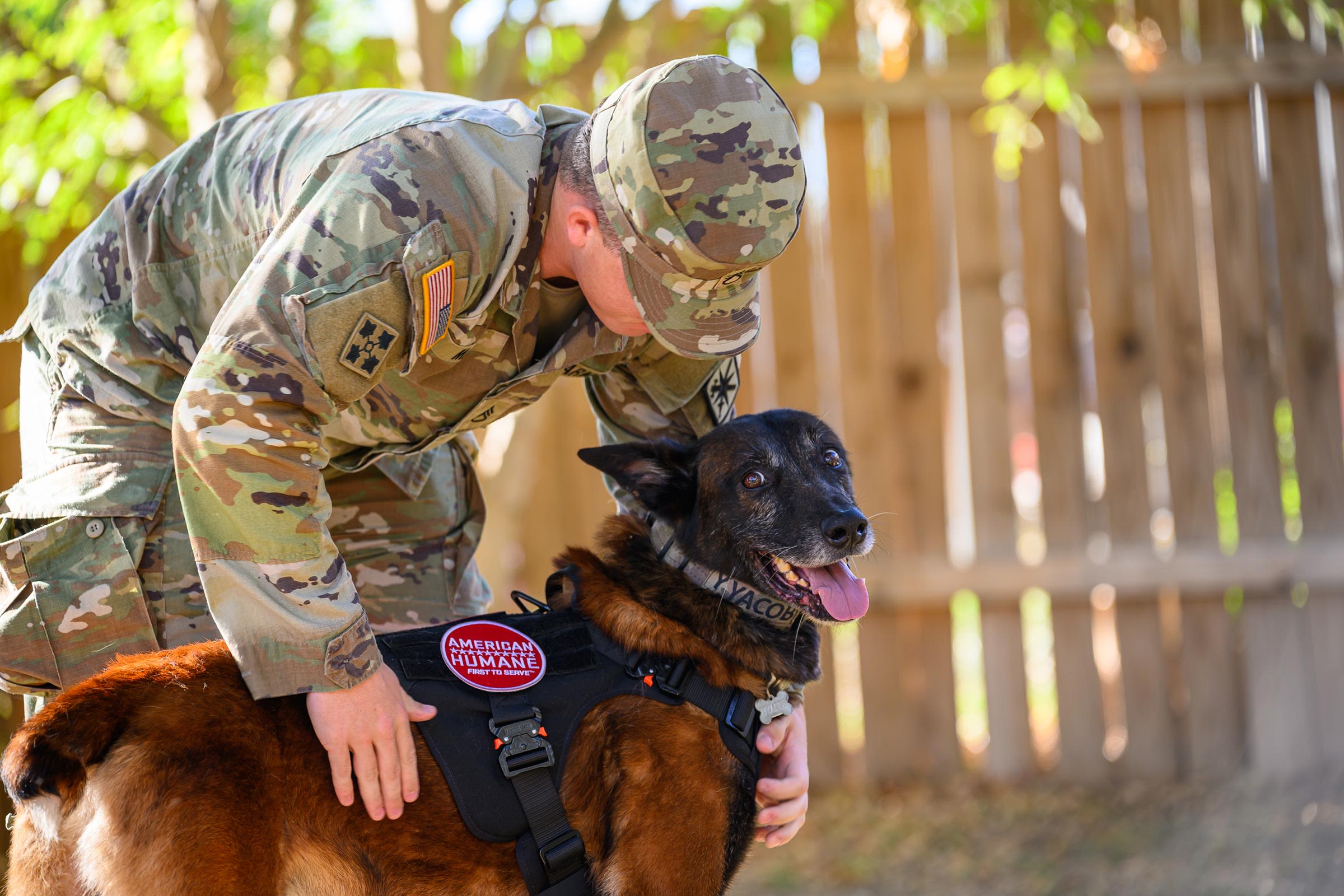 A US soldier thought he'd never see his K-9 partner again. This holiday,  both got a surprise to be thankful for | CNN