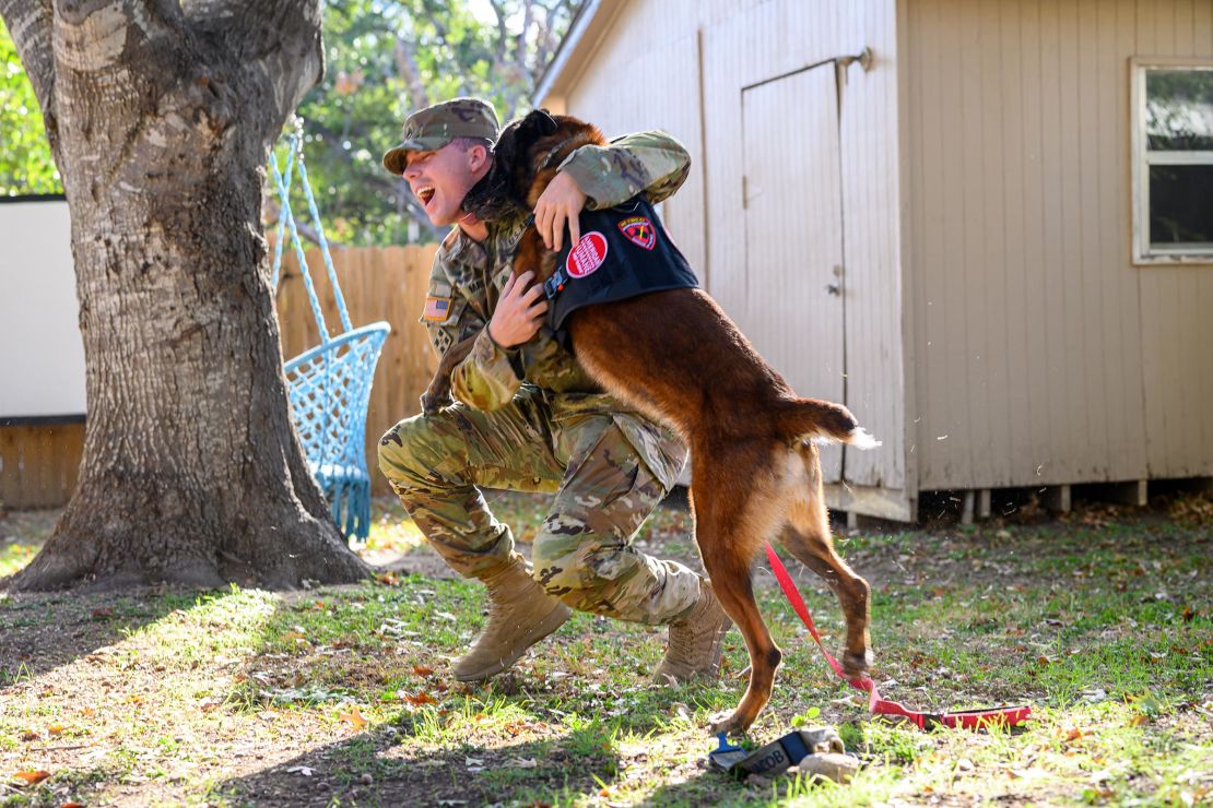 American Humane helps reunite Army Staff Sergeant Payton May with his retiring military working dog Yyacob on November 25, in San Antonio, Texas.