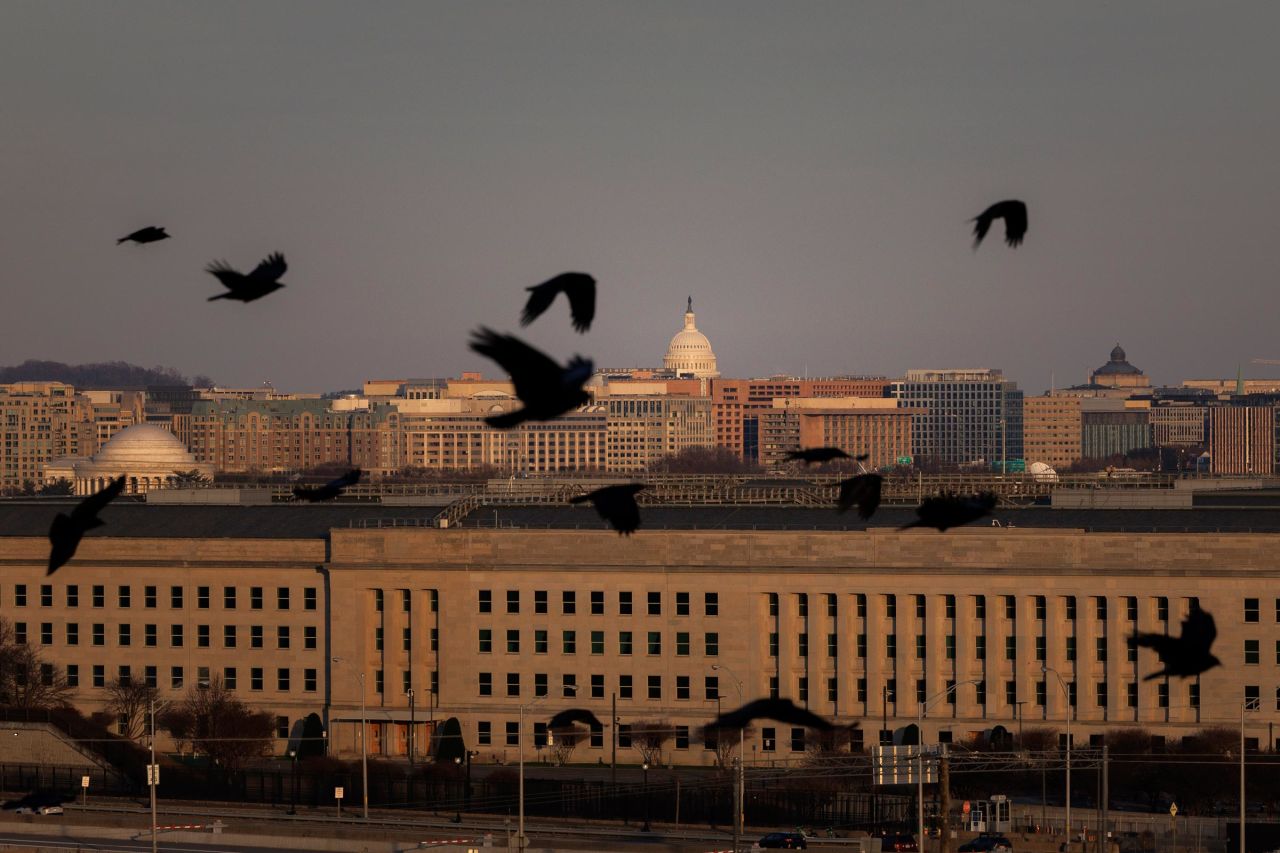 Birds fly near the Pentagon, in Arlington, Virginia, on December 14, 2024. 