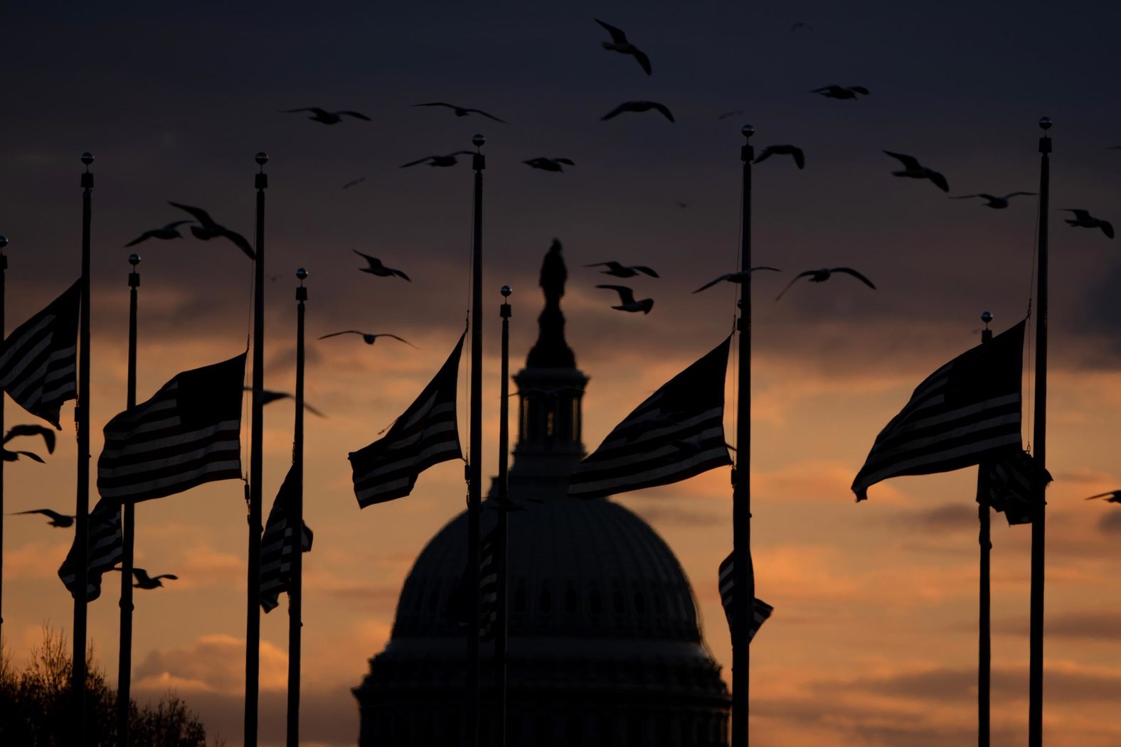 Flags are lowered to half-staff near the US Capitol on December 30. Flags are to remain at half-staff for 30 days after Carter's death.