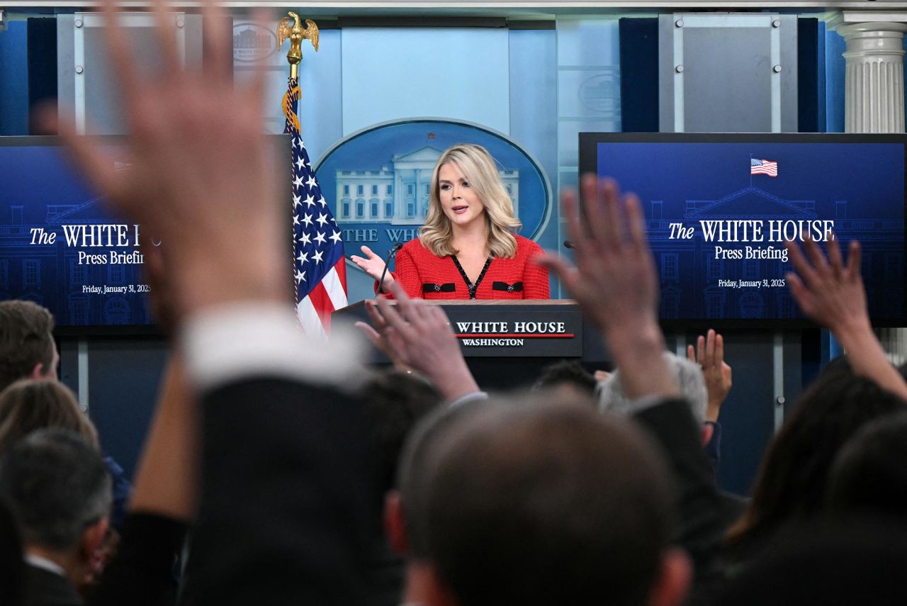 White House Press Secretary Karoline Leavitt speaks during the daily press briefing in the Brady Press Briefing Room of the White House in Washington, DC, on January 31, 2025. 