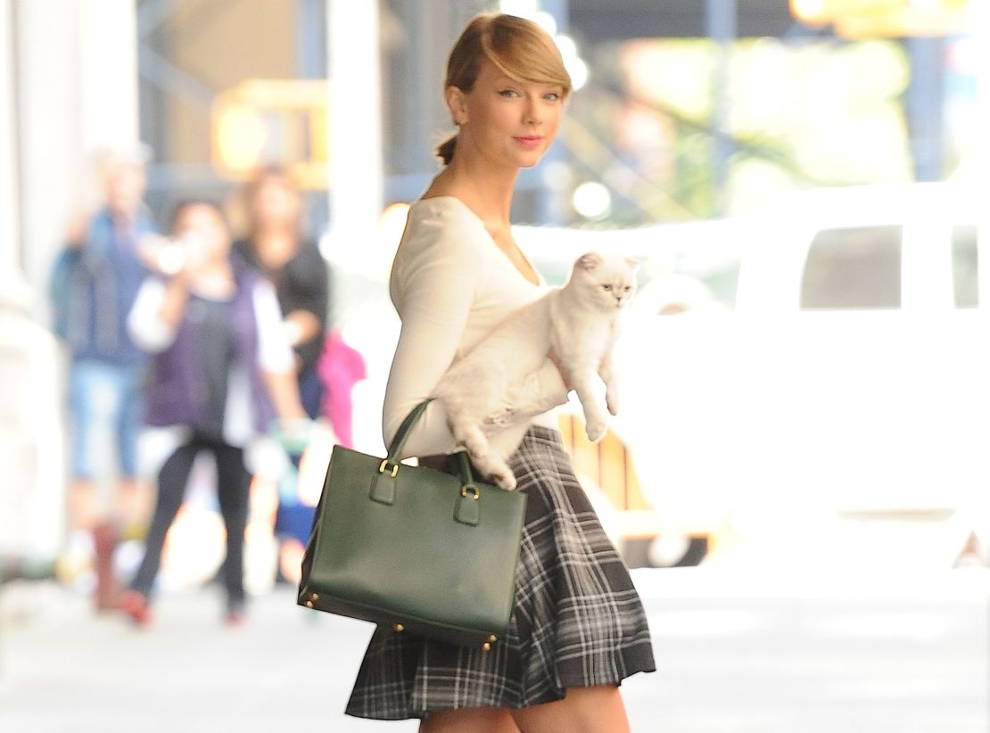 Taylor Swift is seen in New York in 2014 with one of her cats.