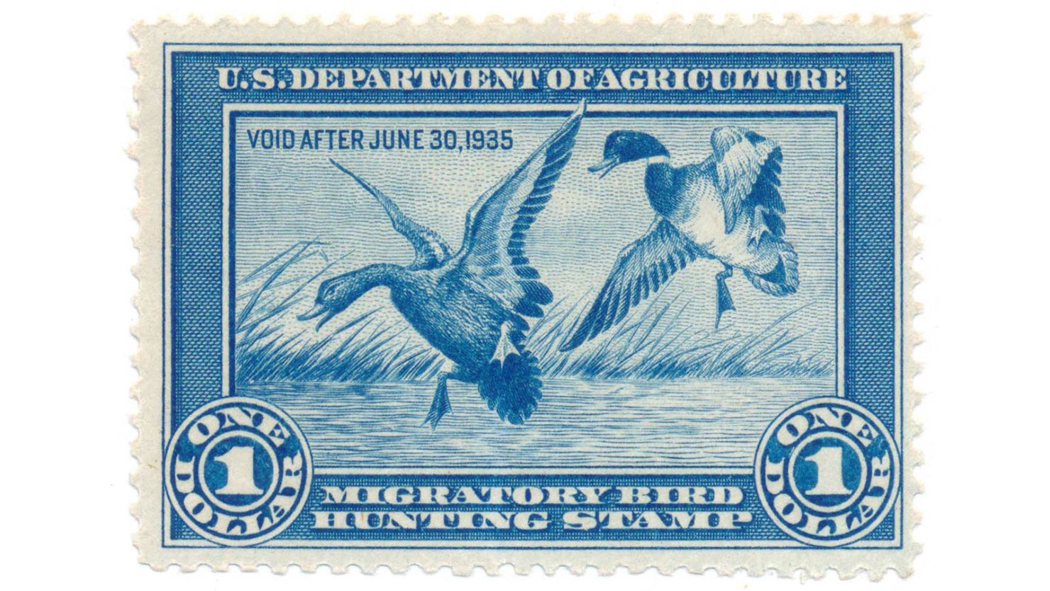 The first United States Duck Stamp, issued August 14, 1934.