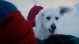 This still shows Krypto from the new "Superman" movie.