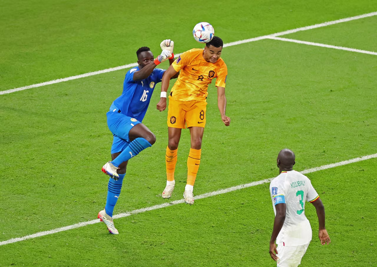 Netherlands' Cody Gakpo scores the first goal of the match between the Netherlands and Senegal on November 21.