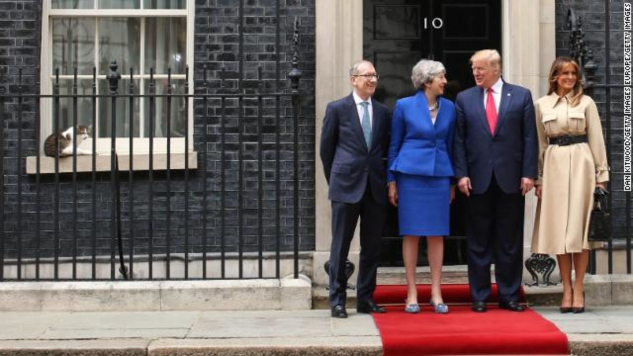 Larry the cat, Downing Street's chief mouser, looks on as US President Donald Trump and First Lady Melania Trump arrive at 10 Downing Street on June 4, greeted by Prime Minister Theresa May and her husband Philip May.