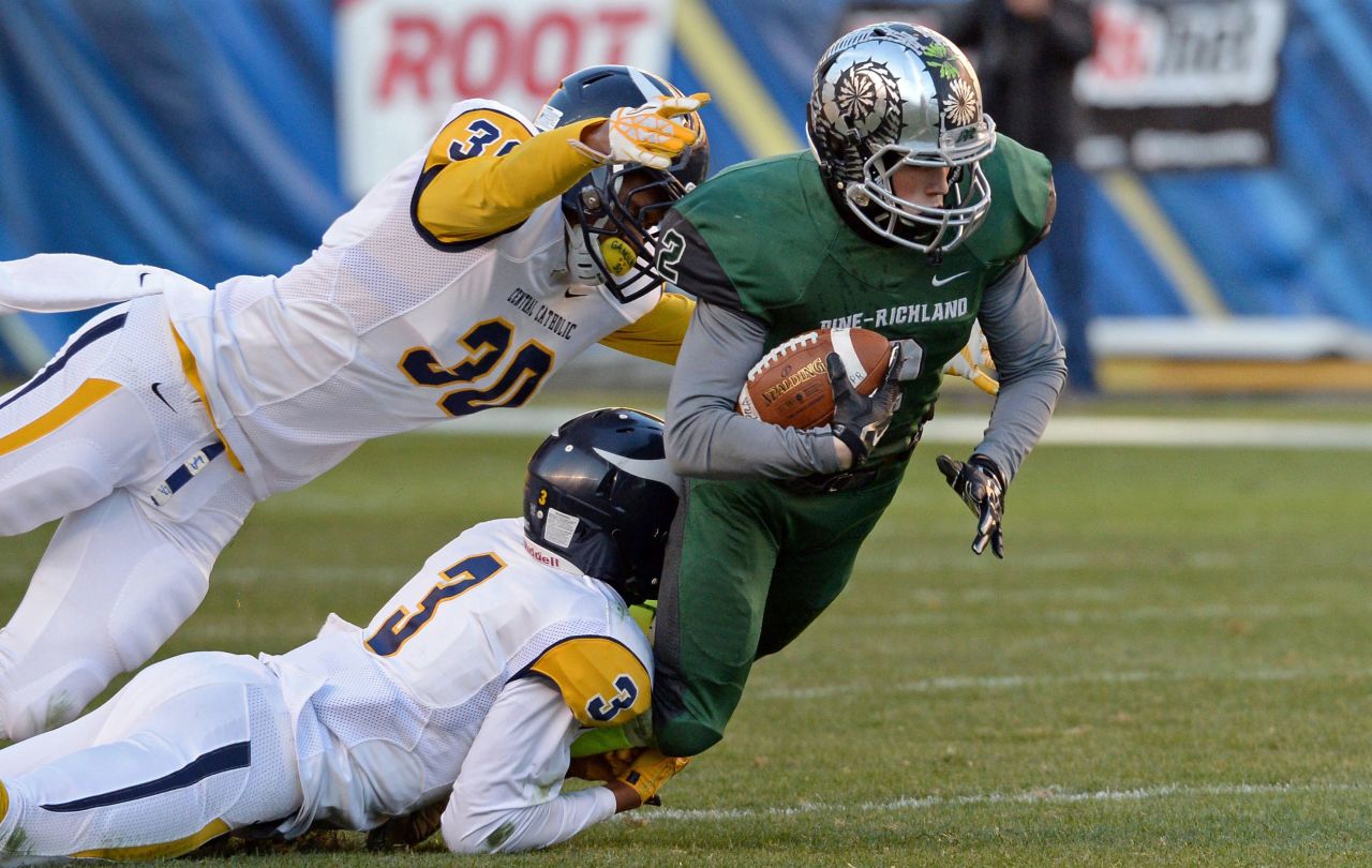 Damar Hamlin (3) makes a tackle during a WPIAL Class AAA football championship game November 21, 2014, in Pittsburgh.