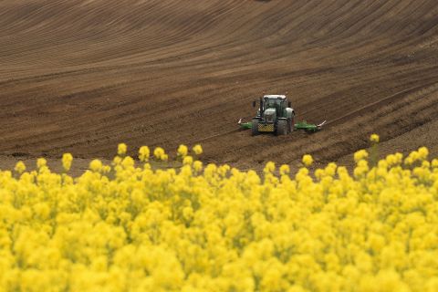 A farm worker prepares a field next to a field of flowering rapeseed near Pontefract, England, on April 23.