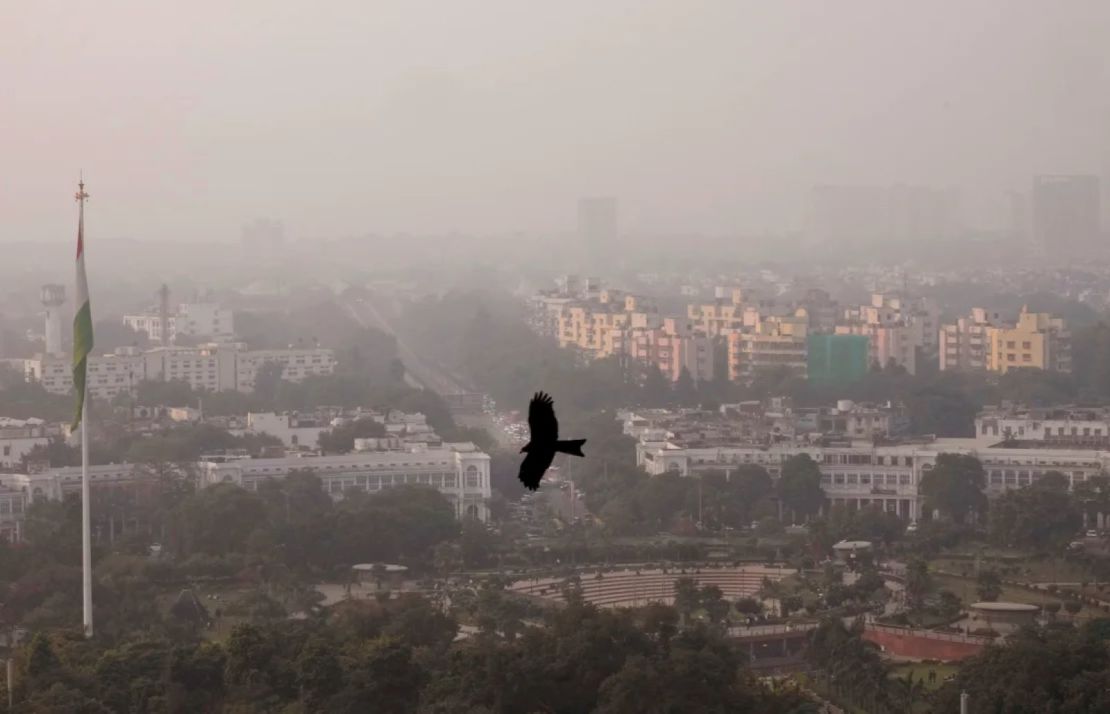 Un pájaro vuela a través de una densa capa de smog en Nueva Delhi, India, el 20 de noviembre de 2024.
