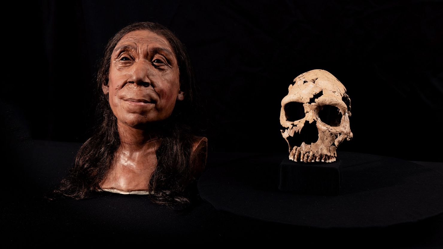 Researchers unearthed the skull used in the reconstruction in 2018. Subsequent analysis revealed it belonged to a Neanderthal woman, who would have been in her mid-40s when she died.