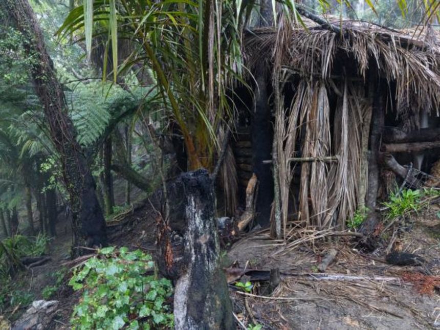 The second important site north of Marokopa (pictured) contained a wooden hut with a thatched roof and door.
