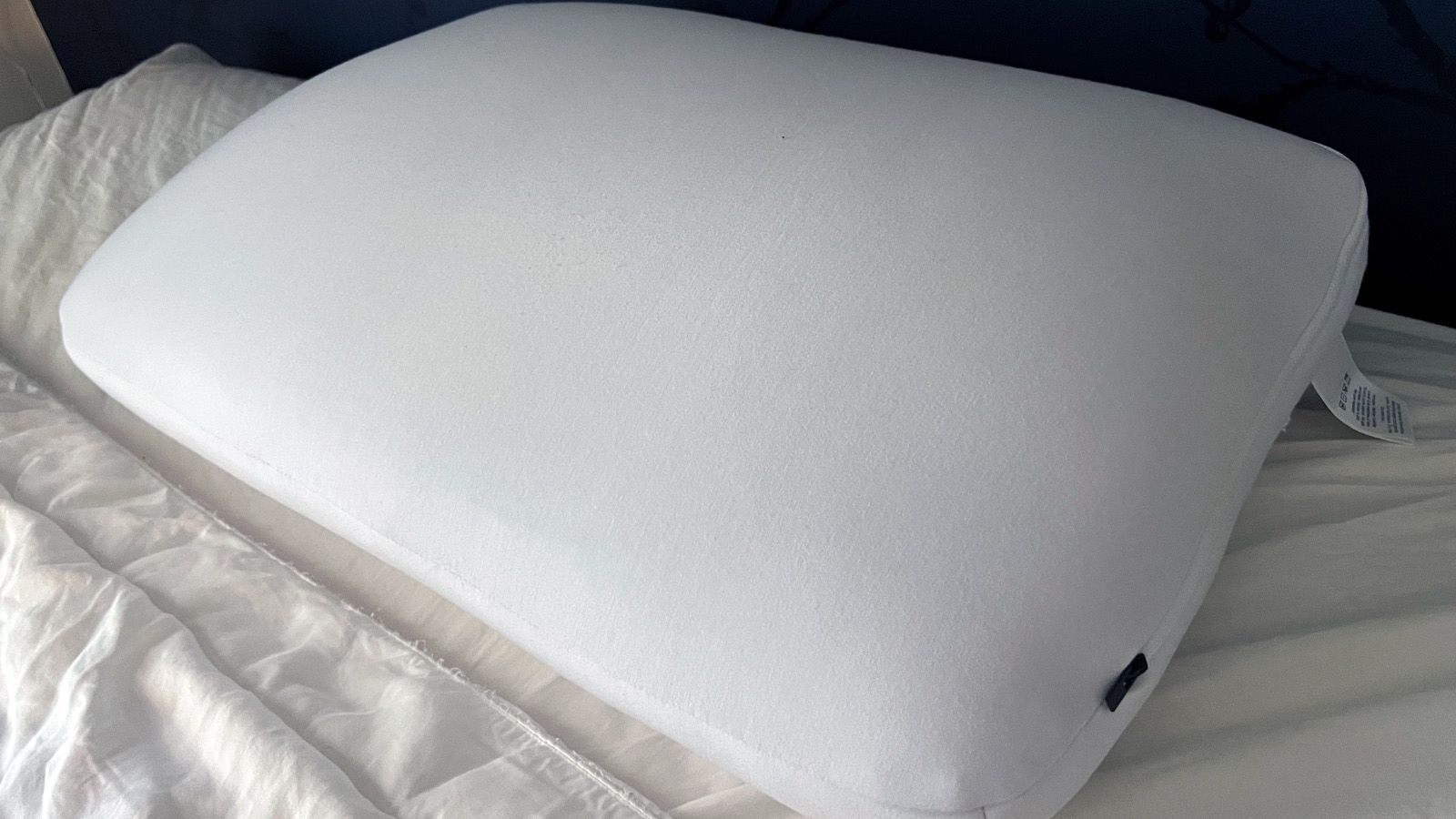 The Stomach Sleeper's Pillow