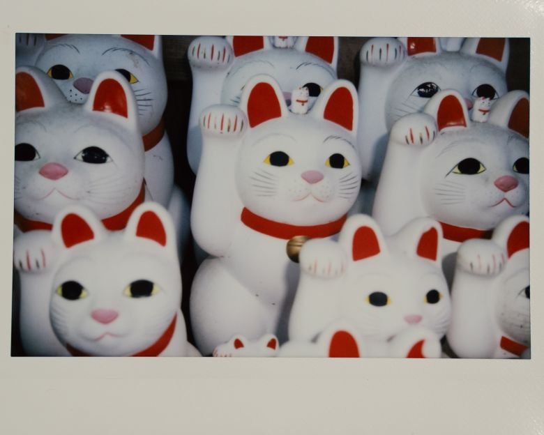 A cat ornament inside Gokuto Temple in Tokyo. Buddhist temples are thought to be the birthplace of the maneki cats, variously known as waving cats, lucky cats, or invitation cats.