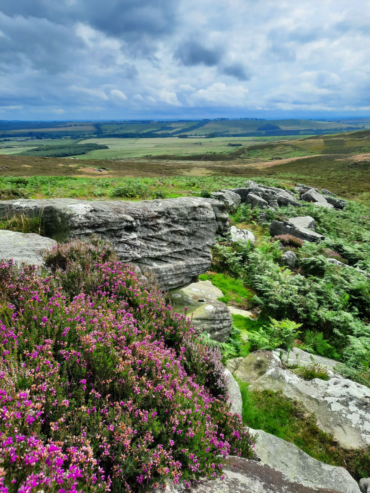 The Wildlife Trusts hope to use the purchase to build a 40-mile nature corridor that stretches from the north-east coast of the country to the Scottish border, boosting biodiversity across the region.