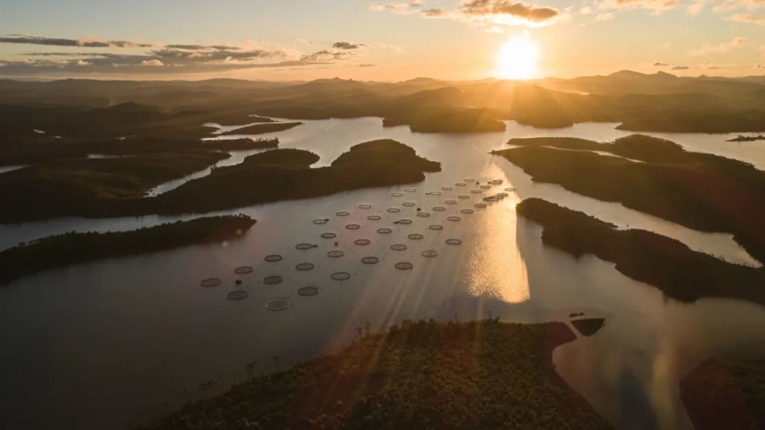 El lago Mantasoa es un lugar de maduración del esturión, parte de la producción de caviar de Acipenser.