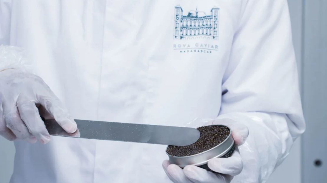 El caviar Rova ha aparecido en menús de alta cocina de todo el mundo.