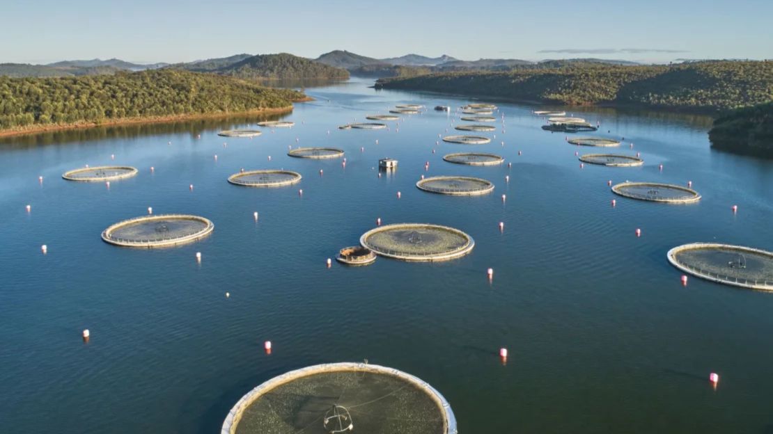 Acipenser afirma que está trabajando para garantizar la sostenibilidad del lago Mantasoa.