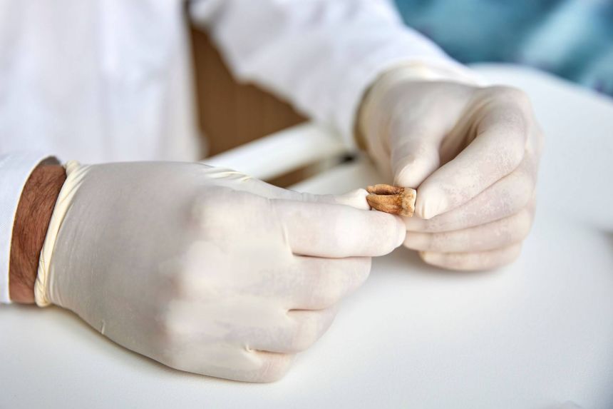 Researchers analyzed teeth from soldiers who were found in a mass grave discovered in 2001 in Vilnius, Lithuania.