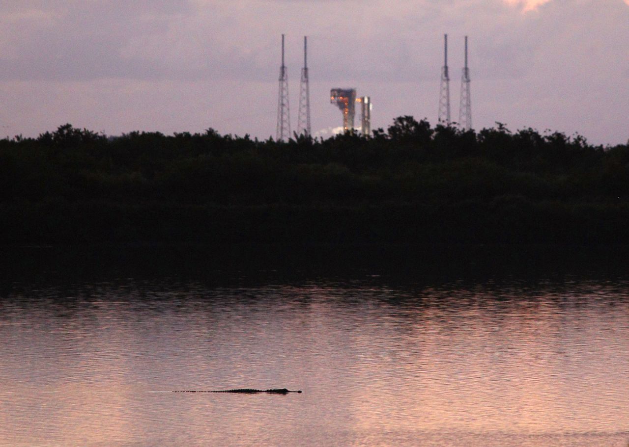 An alligator swims along the Turning Basin at dawn near Boeing's Starliner spacecraft at Space Launch Complex 41 in Cape Canaveral Space Force Station in Florida, on Wednesday.