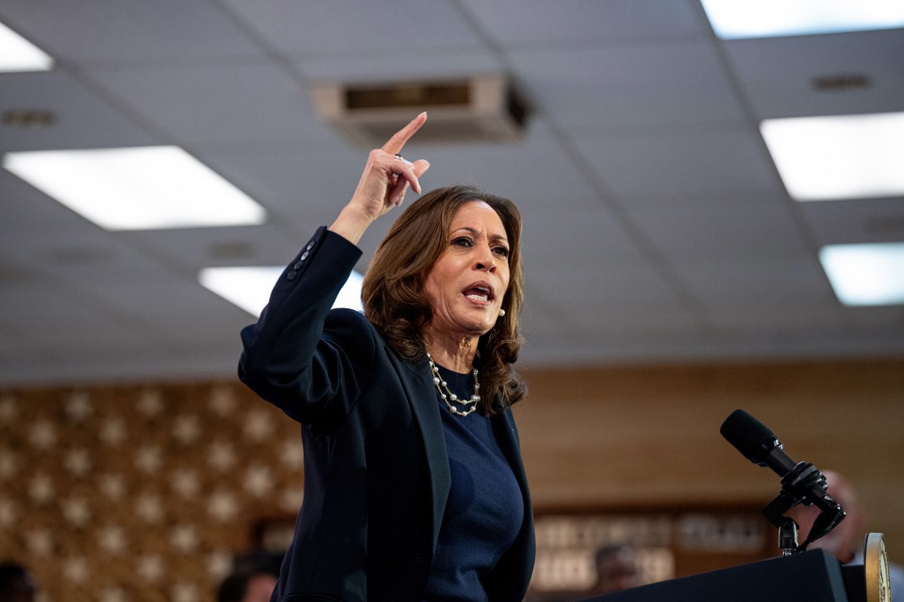 Democratic presidential candidate, Vice President Kamala Harris speaks at a campaign rally at United Auto Workers Local 900 in Wayne, Michigan on August 8.