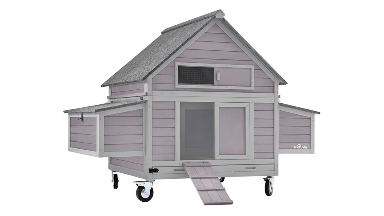 Chanequa Chicken Coop with Nesting Box cnnu.jpg