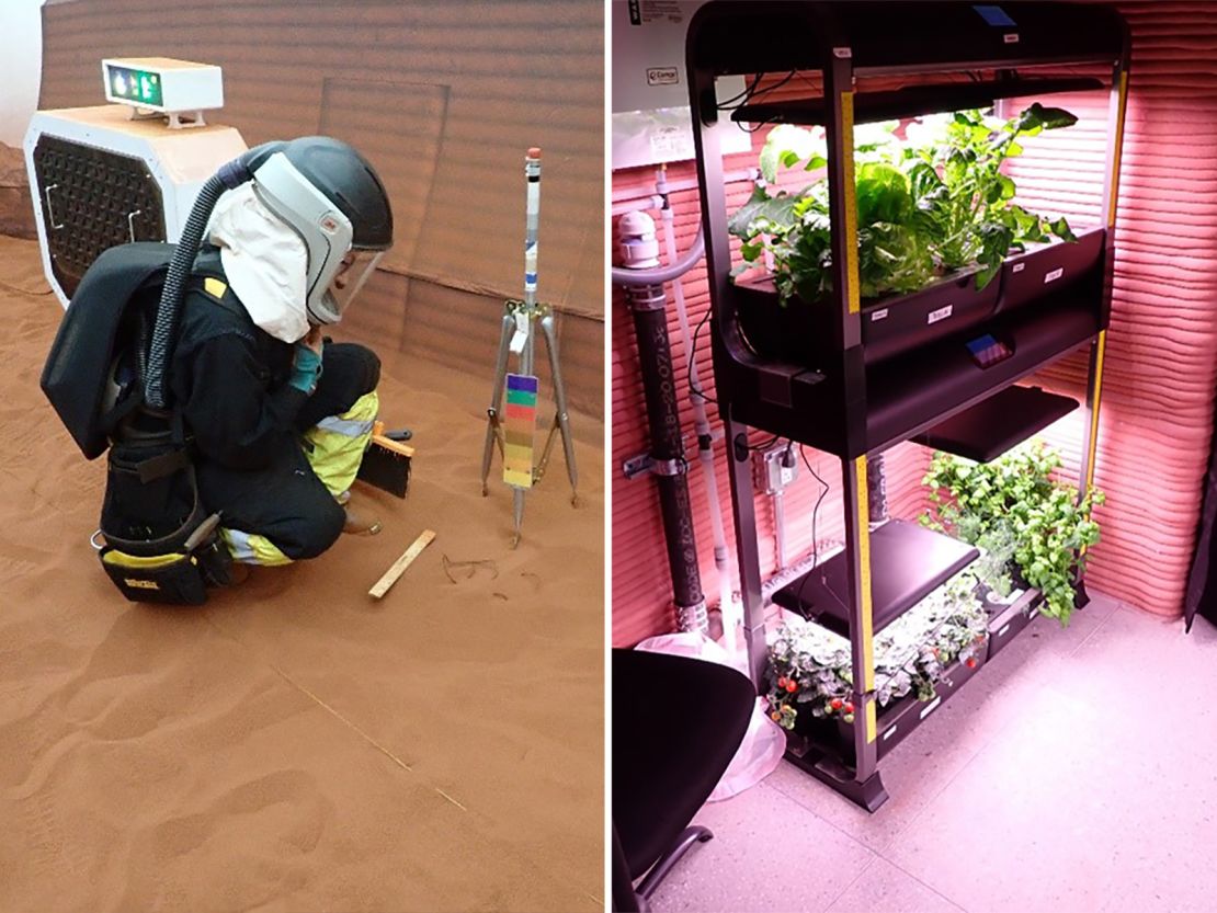 Inside the habitat, the CHAPEA 1 crew conducts "Marswalks" (left) and grows crops using a system with appropriate lighting, water and nutrients for growing plants indoors.