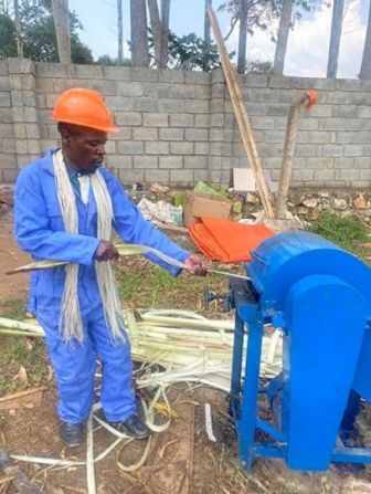 The process of extracting the fibers is largely manual, notes Tumusiime, who aims to mechanize the process in the coming years. Her company employs 25 full-time employees and over 100 part-time workers to collect the waste banana stems from farms.