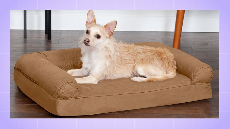 Chewy large best sale dog beds