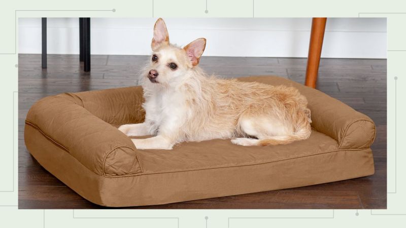 Cyber monday deals outlet on dog beds