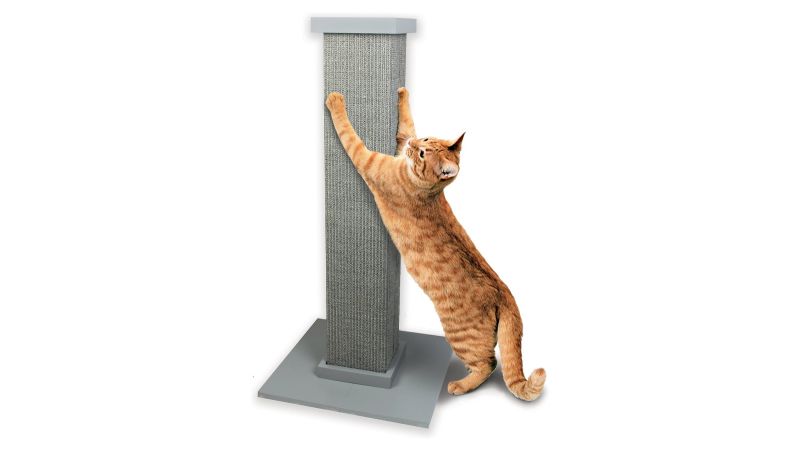 Chewy cat shop scratch post