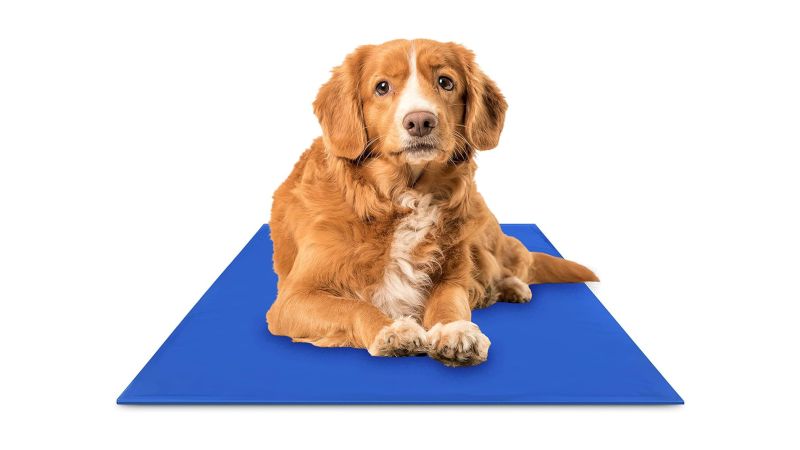 Best cooling mats and pads for dogs in 2024 tried and tested CNN Underscored