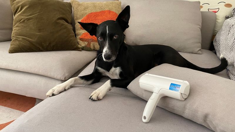 The ChomChom roller pet hair remover review CNN Underscored