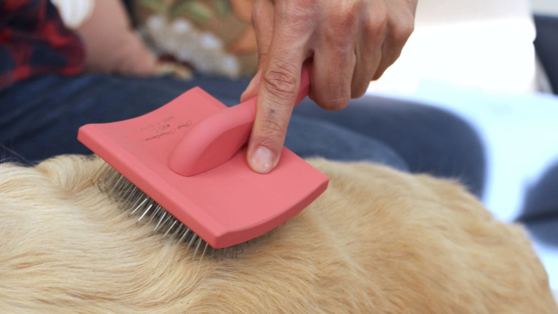 A red slicker brush brushing a dog.