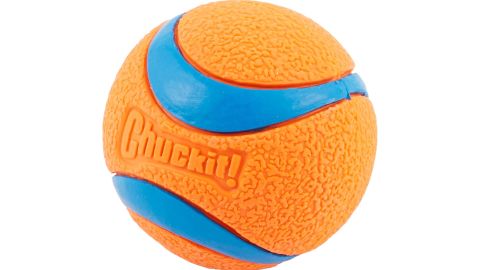 Chuck it!  Ultra-resistant dog toy with rubber ball